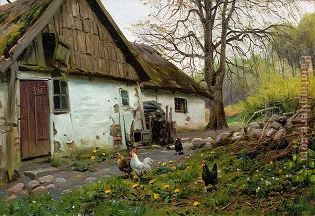 Peder Mork Monsted Bromolle Farm with Chickens